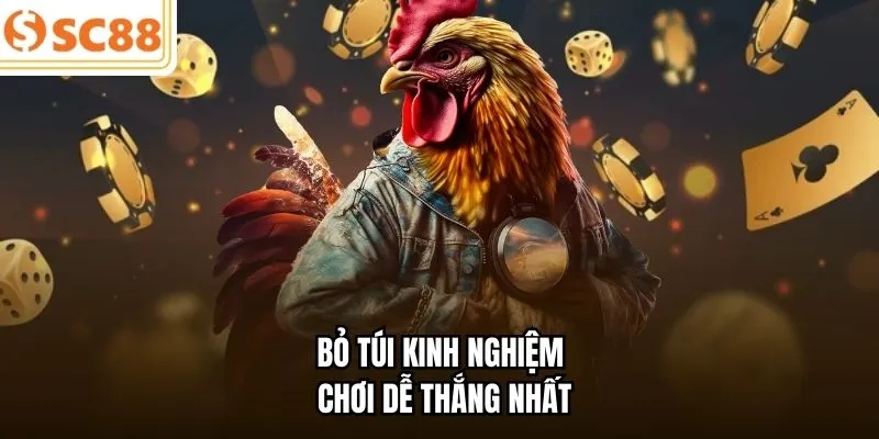 Bỏ túi kinh nghiệm chơi dễ thắng nhất 