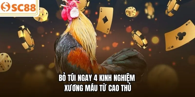 Bỏ túi ngay 4 kinh nghiệm xương máu từ cao thủ 
