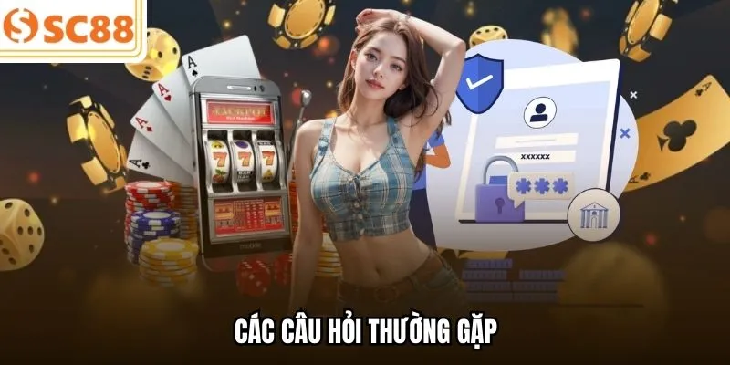 Các câu hỏi thường gặp