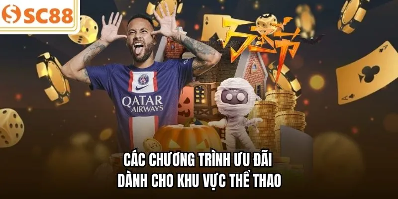 Các chương trình ưu đãi dành cho khu vực thể thao
