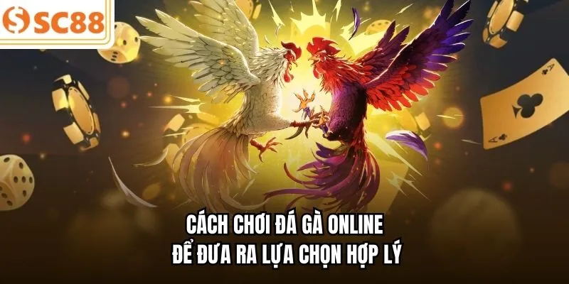 Cách chơi đá gà online để đưa ra lựa chọn hợp lý