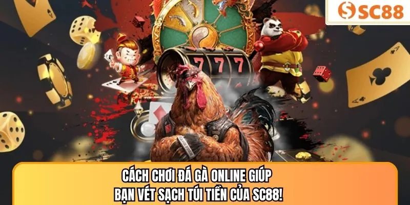 Cách Chơi Đá Gà Online Giúp Bạn Vét Sạch Túi Tiền Của SC88!