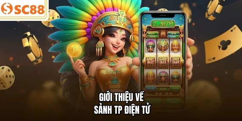 Giới thiệu về sảnh TP điện tử