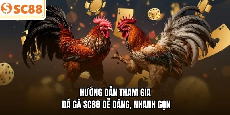 Hướng dẫn tham gia đá gà SC88 dễ dàng, nhanh gọn