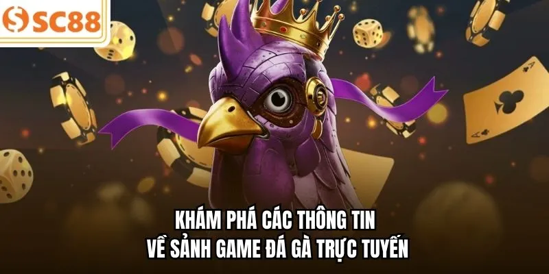 Khám phá các thông tin về sảnh game đá gà trực tuyến