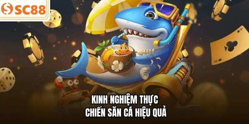 Kinh nghiệm thực chiến săn cá hiệu quả