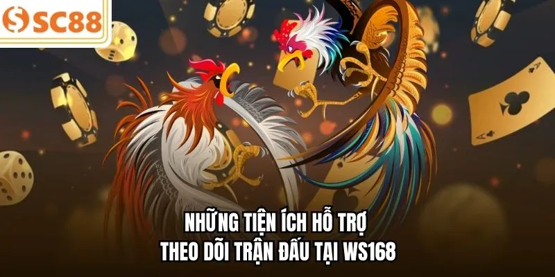Những tiện ích hỗ trợ theo dõi trận đấu tại WS168