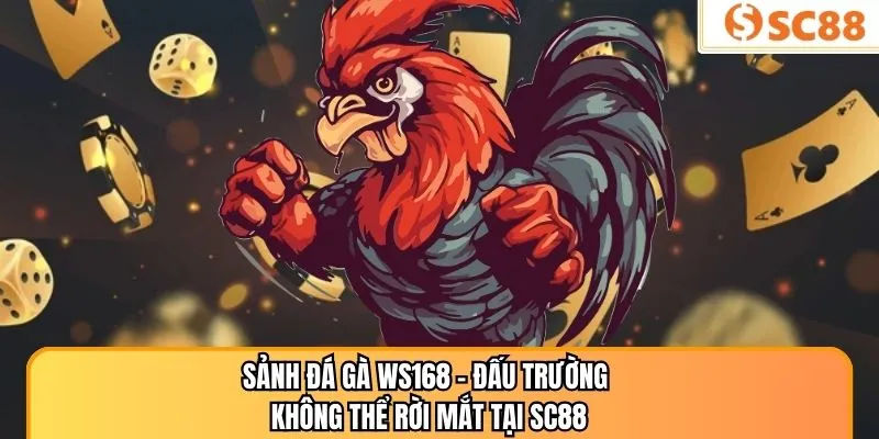 Sảnh Đá Gà WS168 – Đấu Trường Không Thể Rời Mắt Tại SC88