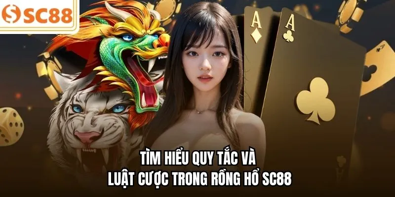 Tìm hiểu quy tắc và luật cược trong Rồng Hổ SC88