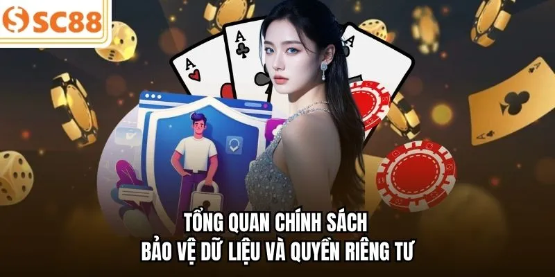 Tổng quan chính sách bảo vệ dữ liệu và quyền riêng tư