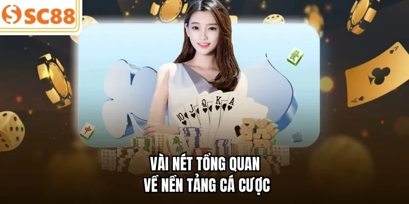 Vài nét tổng quan về nền tảng cá cược